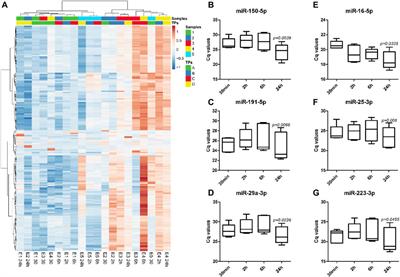 Whole Blood Holding Time Prior to Plasma Processing Alters microRNA Expression Profile